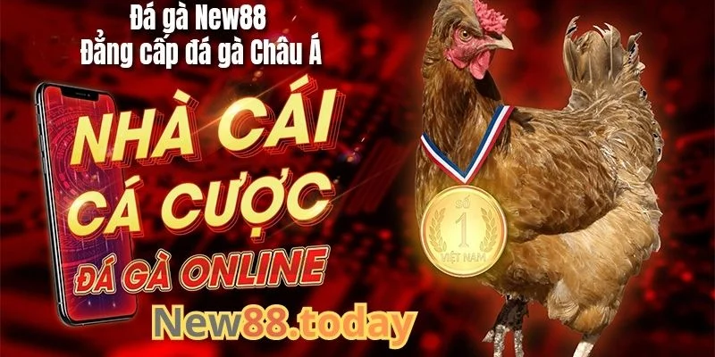 Tổng quan về nhà cái đá gà NEW88