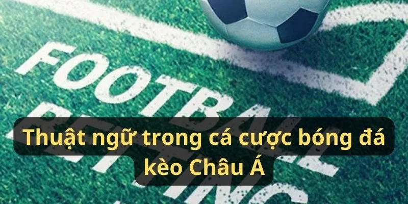 Thuật ngữ trong kèo bóng đá kèo Châu Á