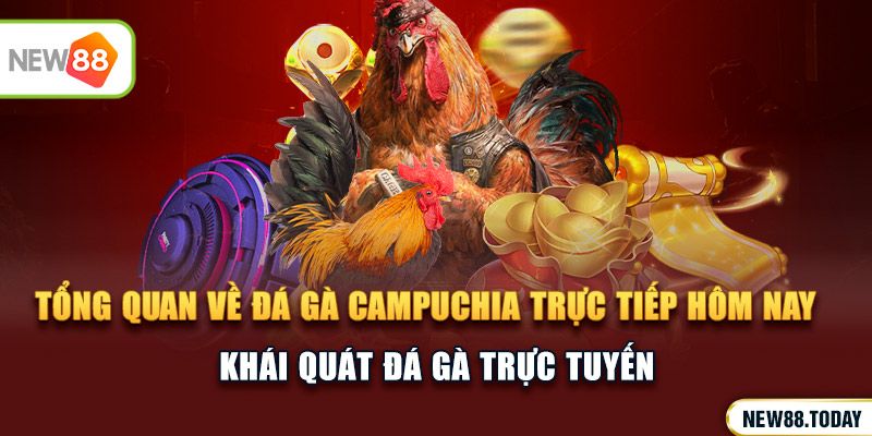 Tổng quan về đá gà campuchia trực tiếp hôm nay