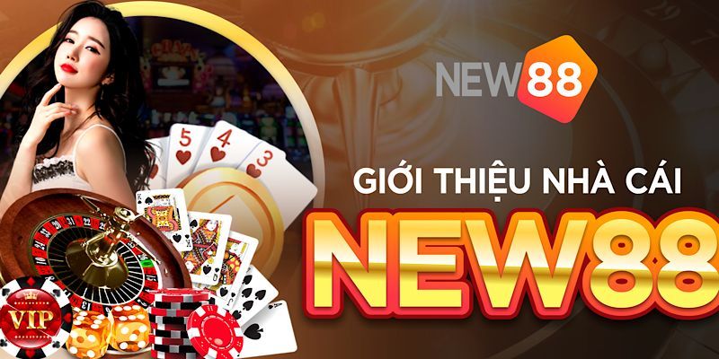 Vài nét về nhà cái NEW88